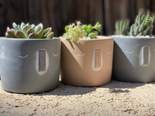 Load image into Gallery viewer, Stone Face Succulents
