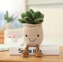 Load image into Gallery viewer, Succulent Plush
