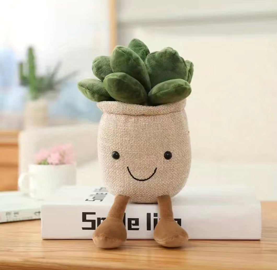 Succulent Plush